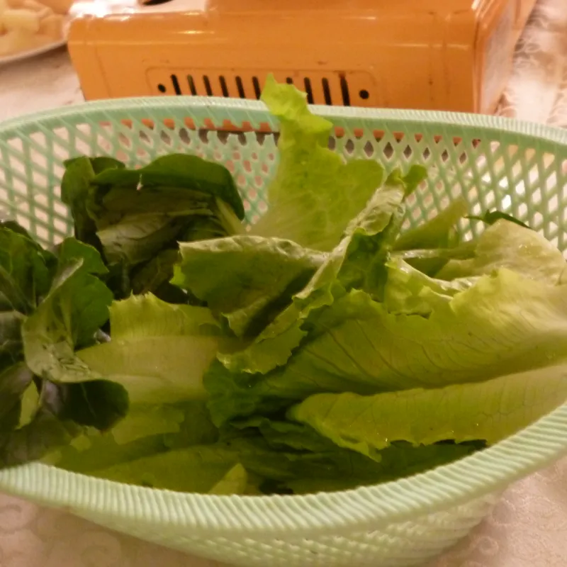 Plant de Poivron (Doux)